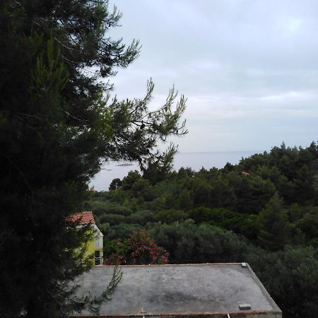 ŽuljanaApartman Ana公寓 外观 照片